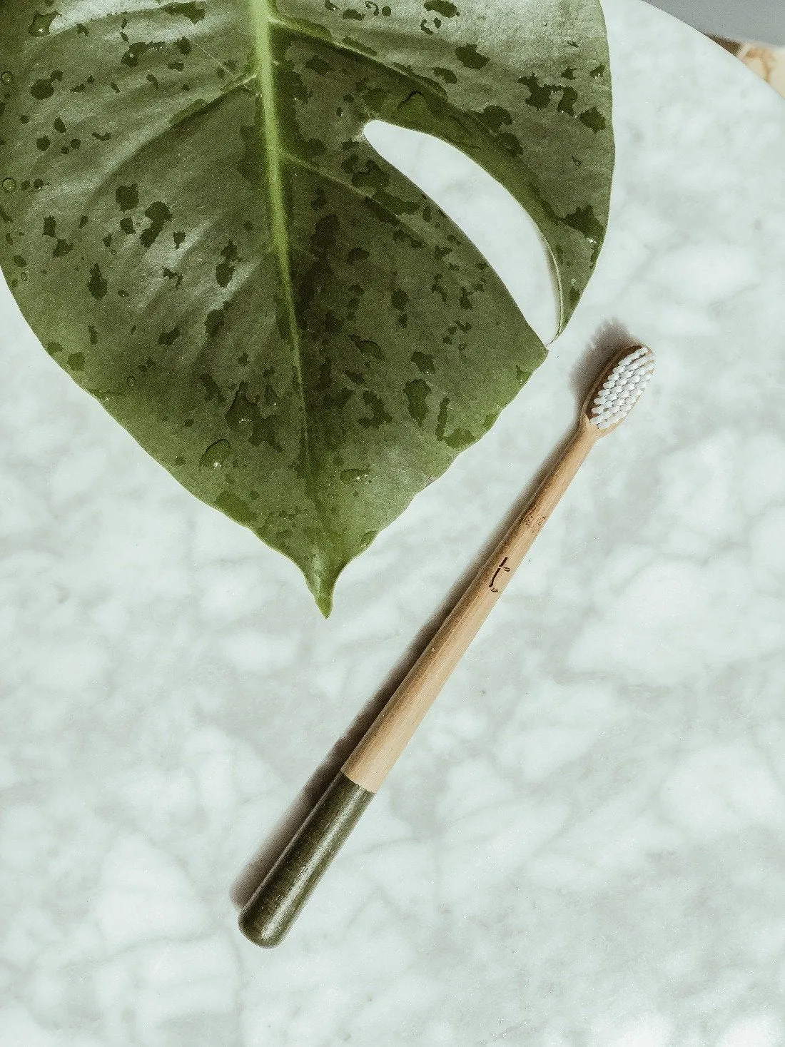 Bamboo Toothbrush - Medium - Olive