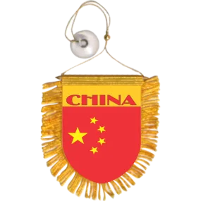 China Mini Car Banner