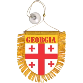 Georgia Mini Car Banner