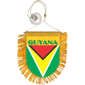 Guyana Mini Car Banner