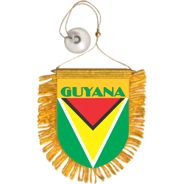 Guyana Mini Car Banner