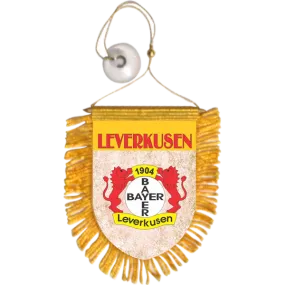 Leverkusen Mini Car Banner