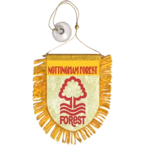 Nottingham Forest Mini Car Banner