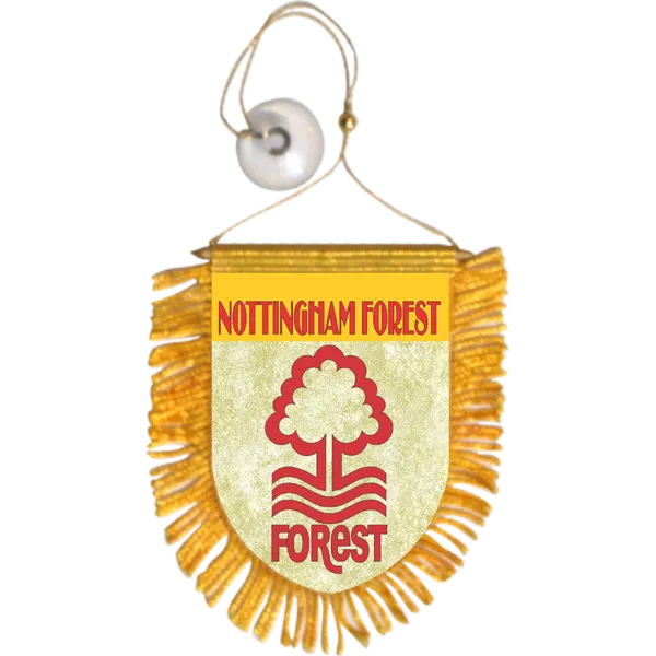 Nottingham Forest Mini Car Banner