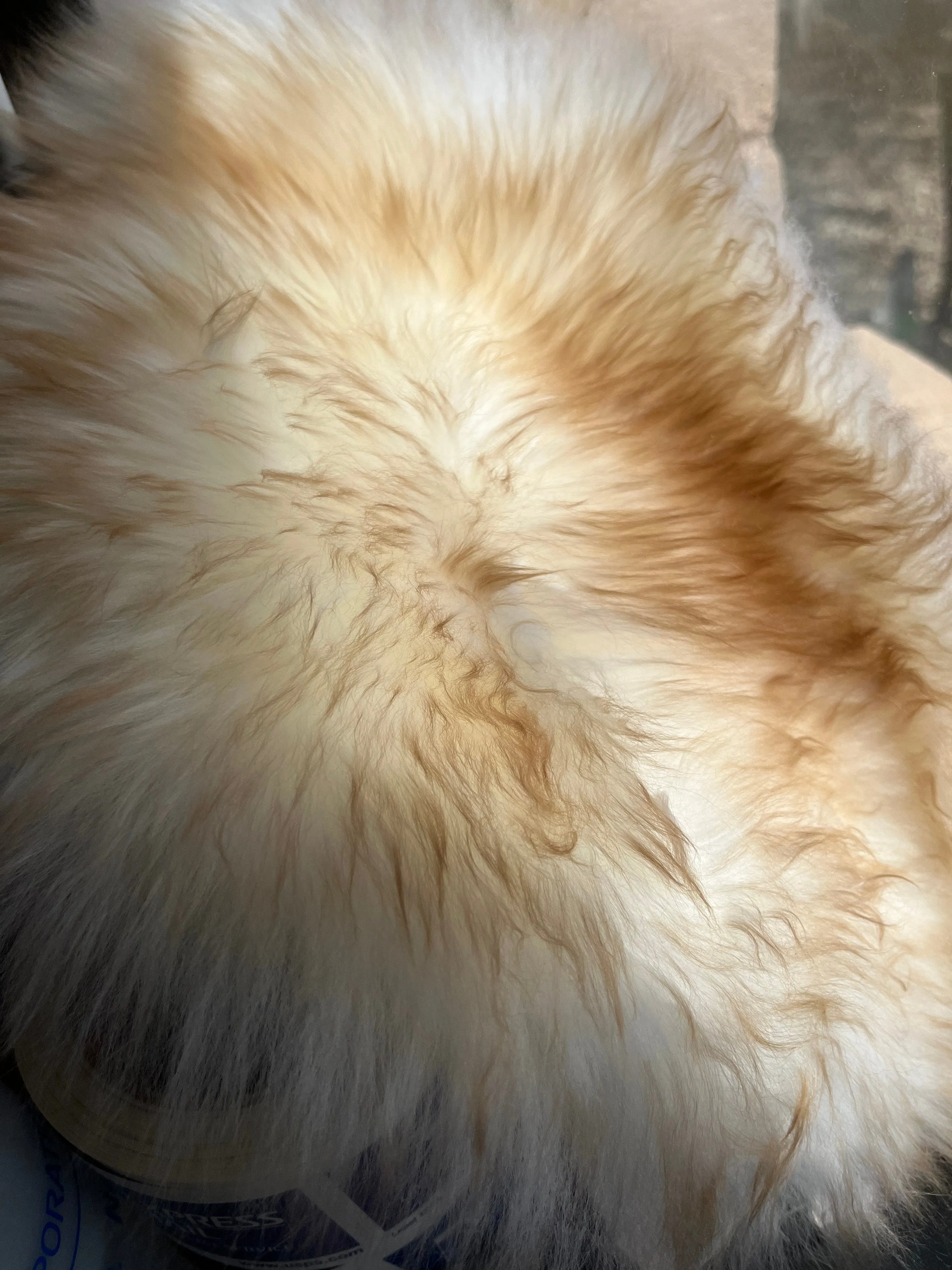 Tractor Seat Sheepskin Buttpad™